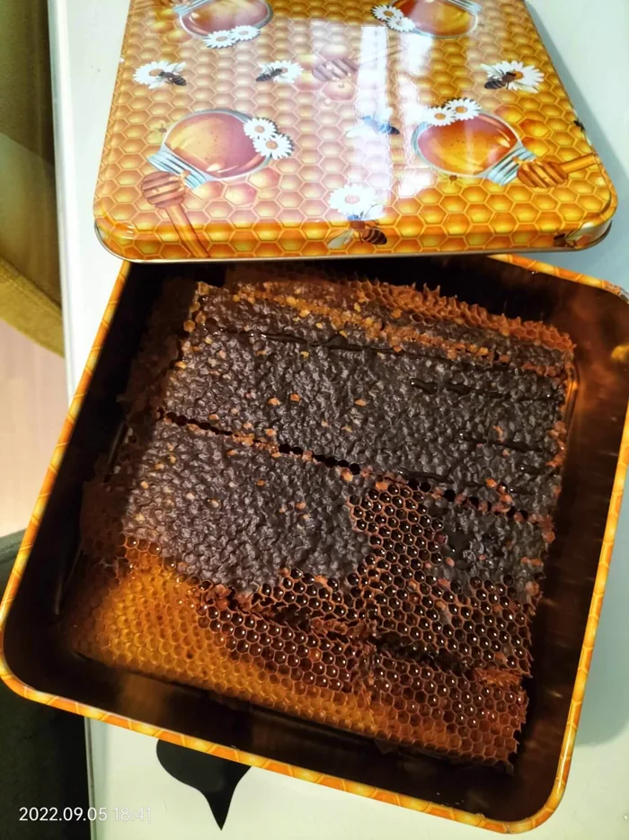 Kasa Dağı karakovan balı